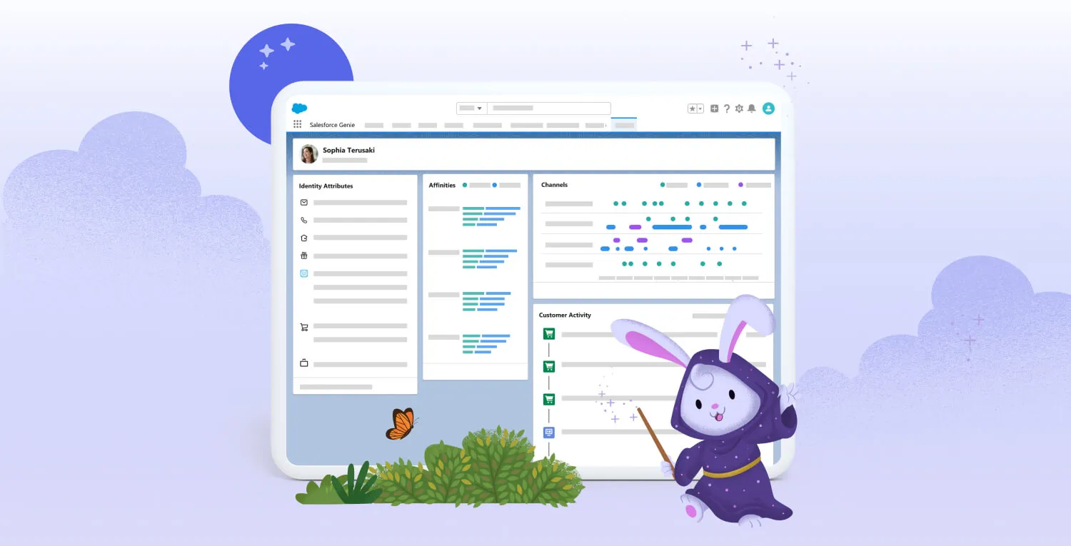 Brighter Cloud | Salesforce Data Cloud